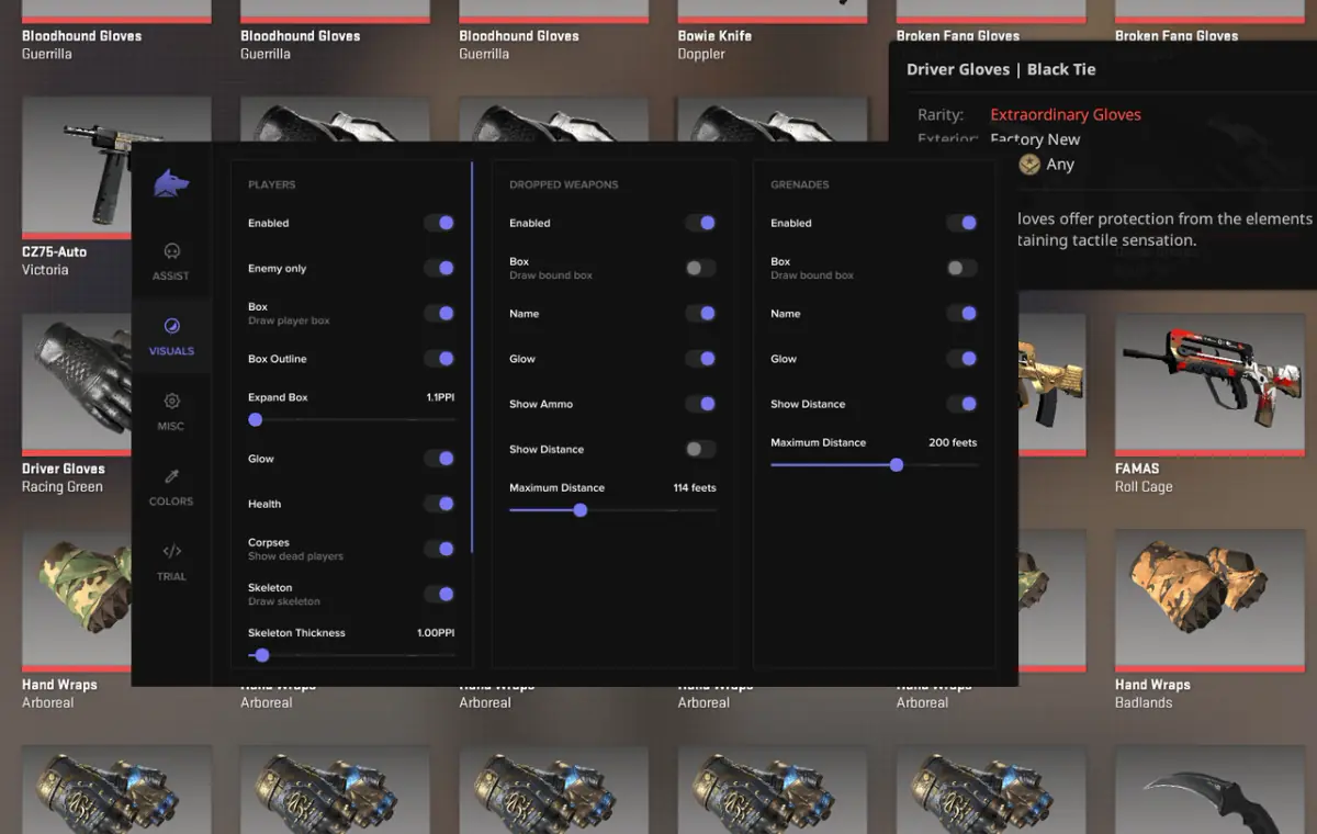 FECURITY — Counter-Strike 2 screenshot 2
